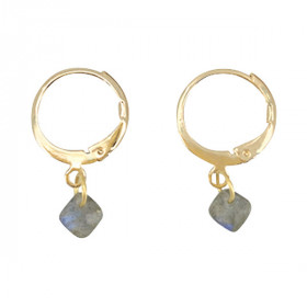Hoop earrings Little